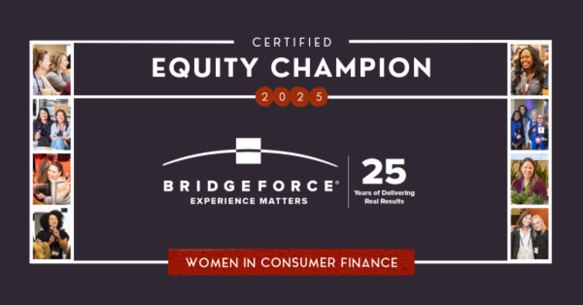 Bridgeforce Champion — the qualities Bridgeforce brings to every engagement